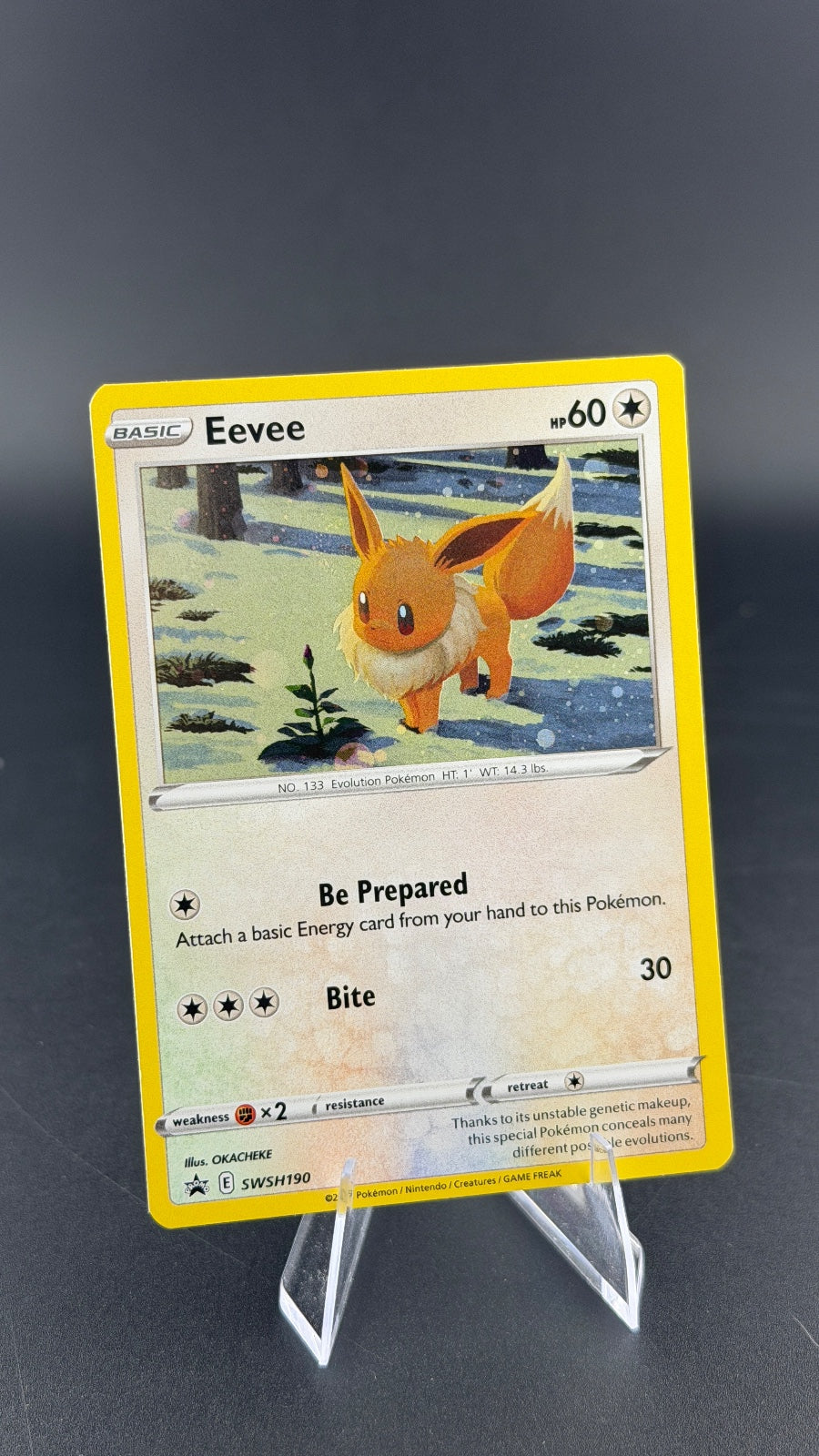 Eevee Sword & Shield Promo Cards SWSH190 NM