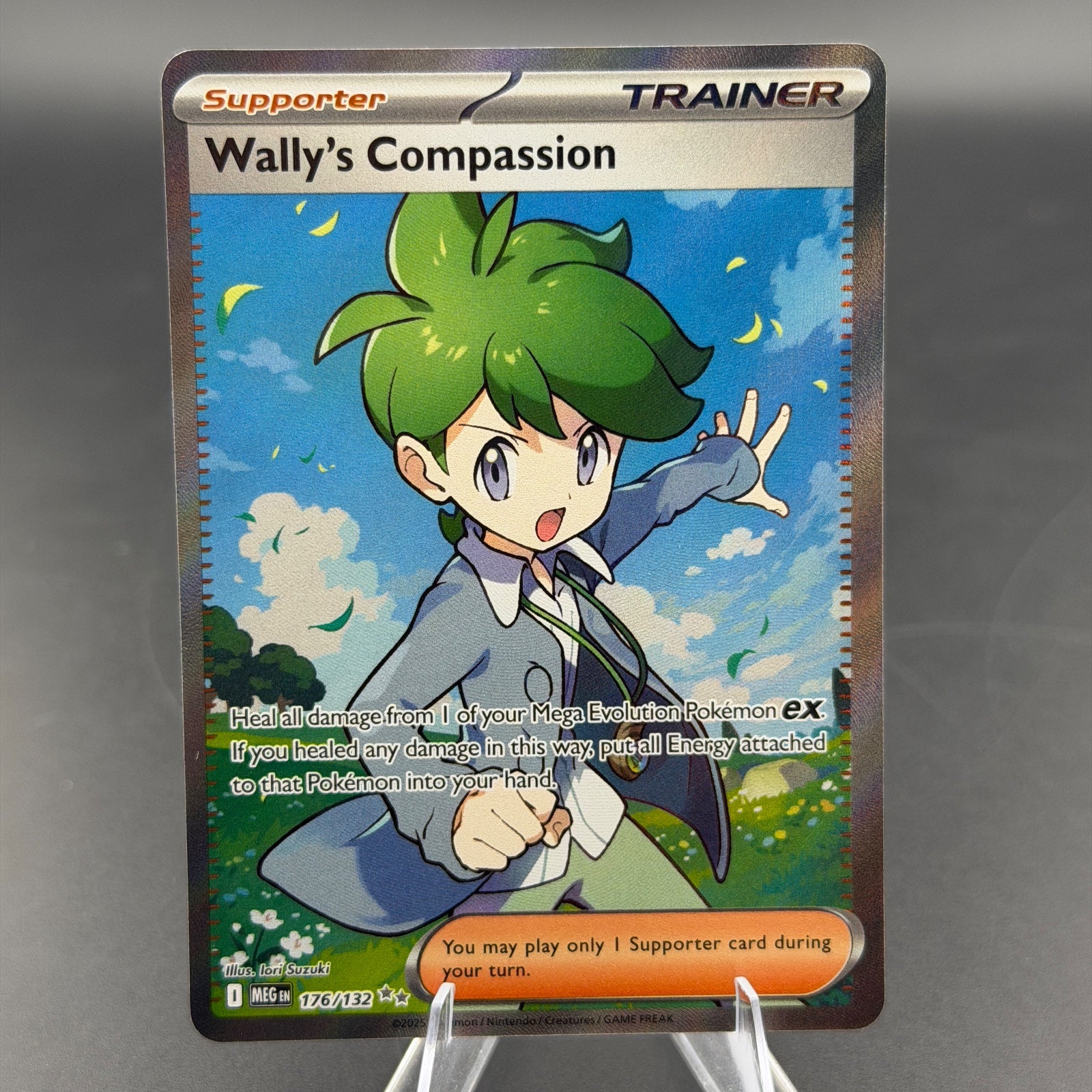 Wally's Compassion Mega Evolution 176/132